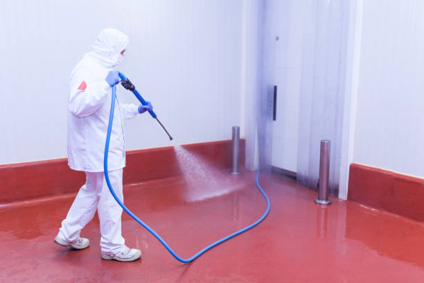 Boat and Dock Cleaning in Cresskill, NJ